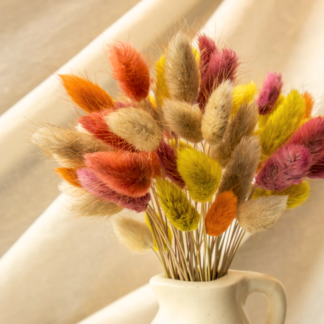 Fall Colour Bunny Tail Preserved Natural Flowers
