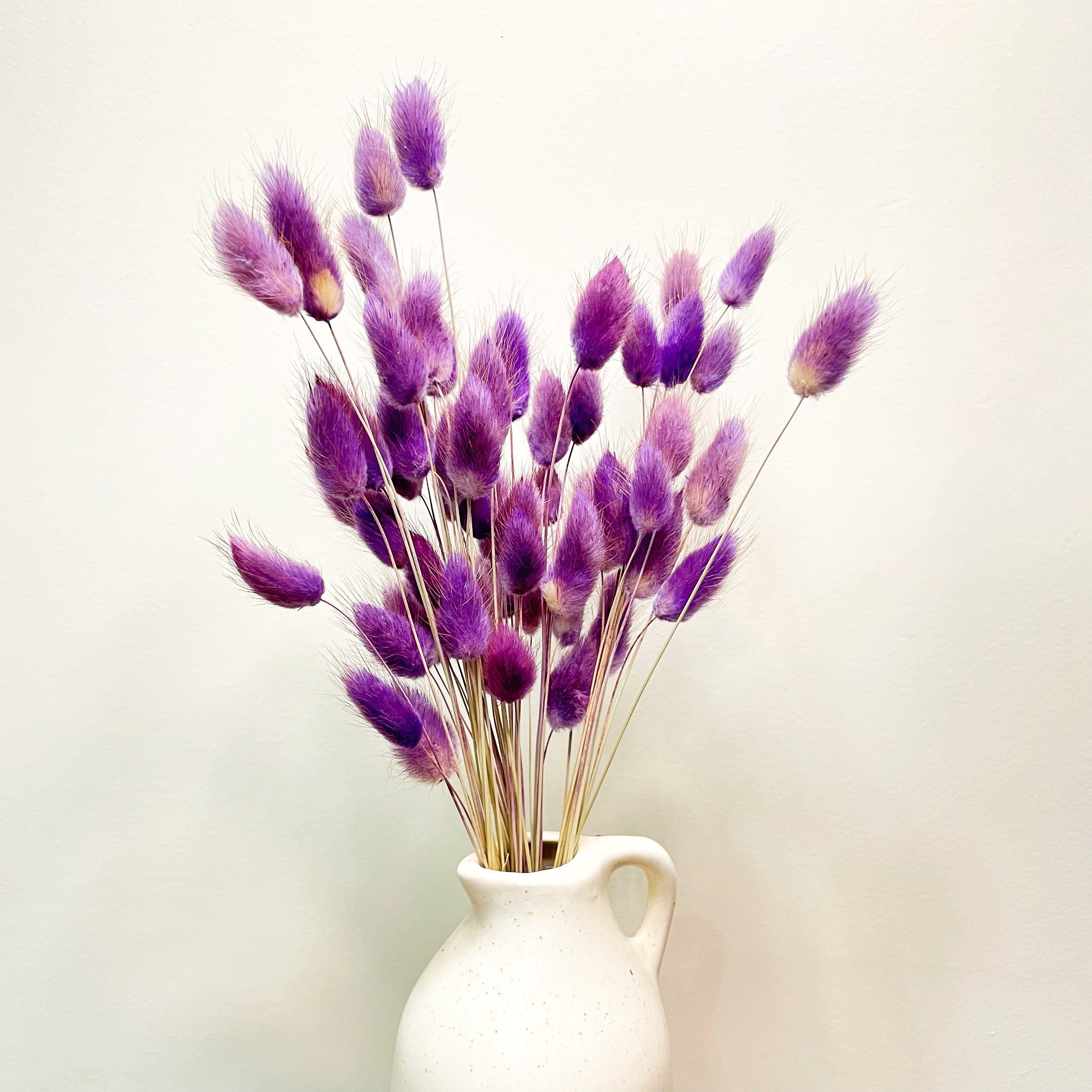 Purple Bunny Tail Preserved Natural Flowers