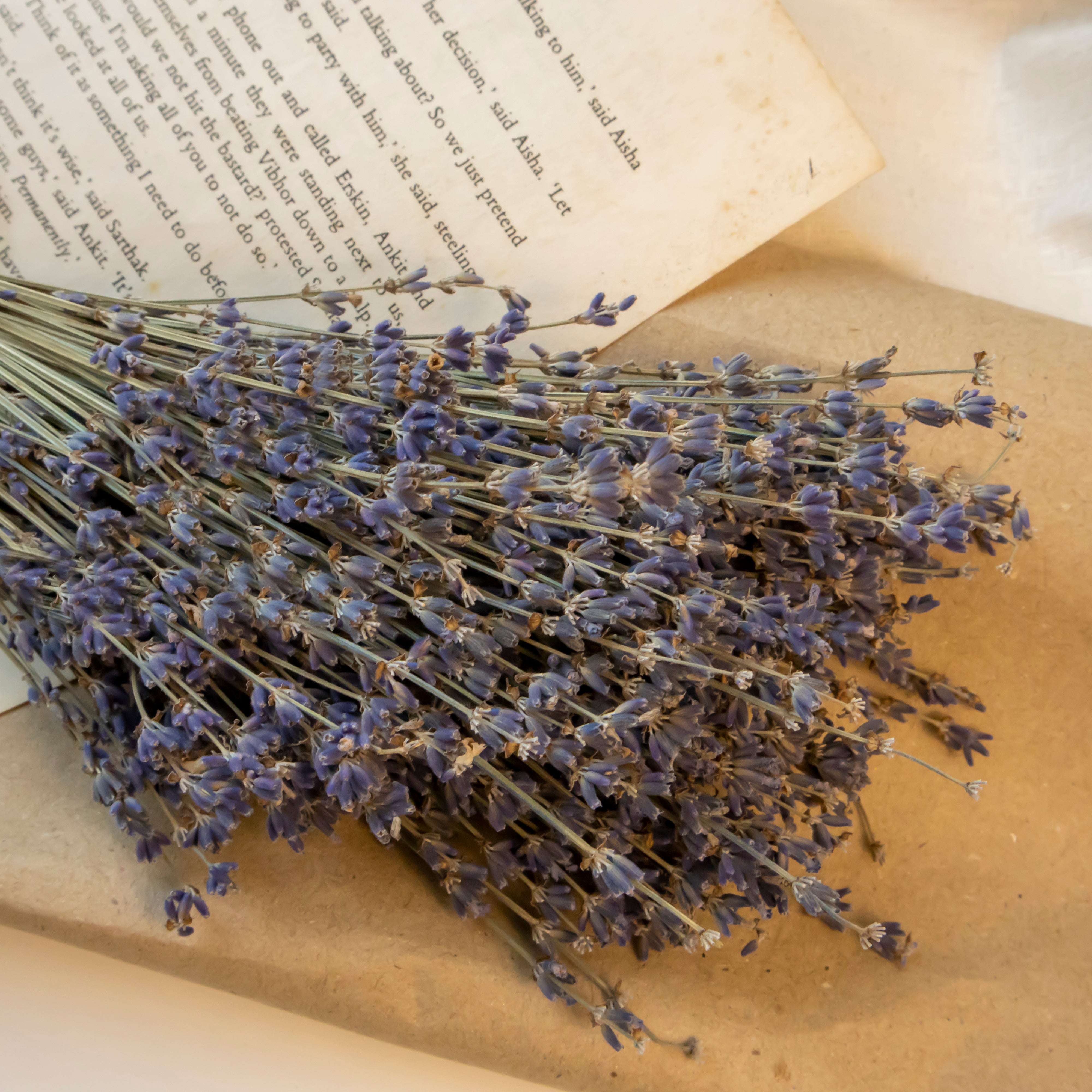 Natural Lavender Stems- Preserved Fragrant Lavender