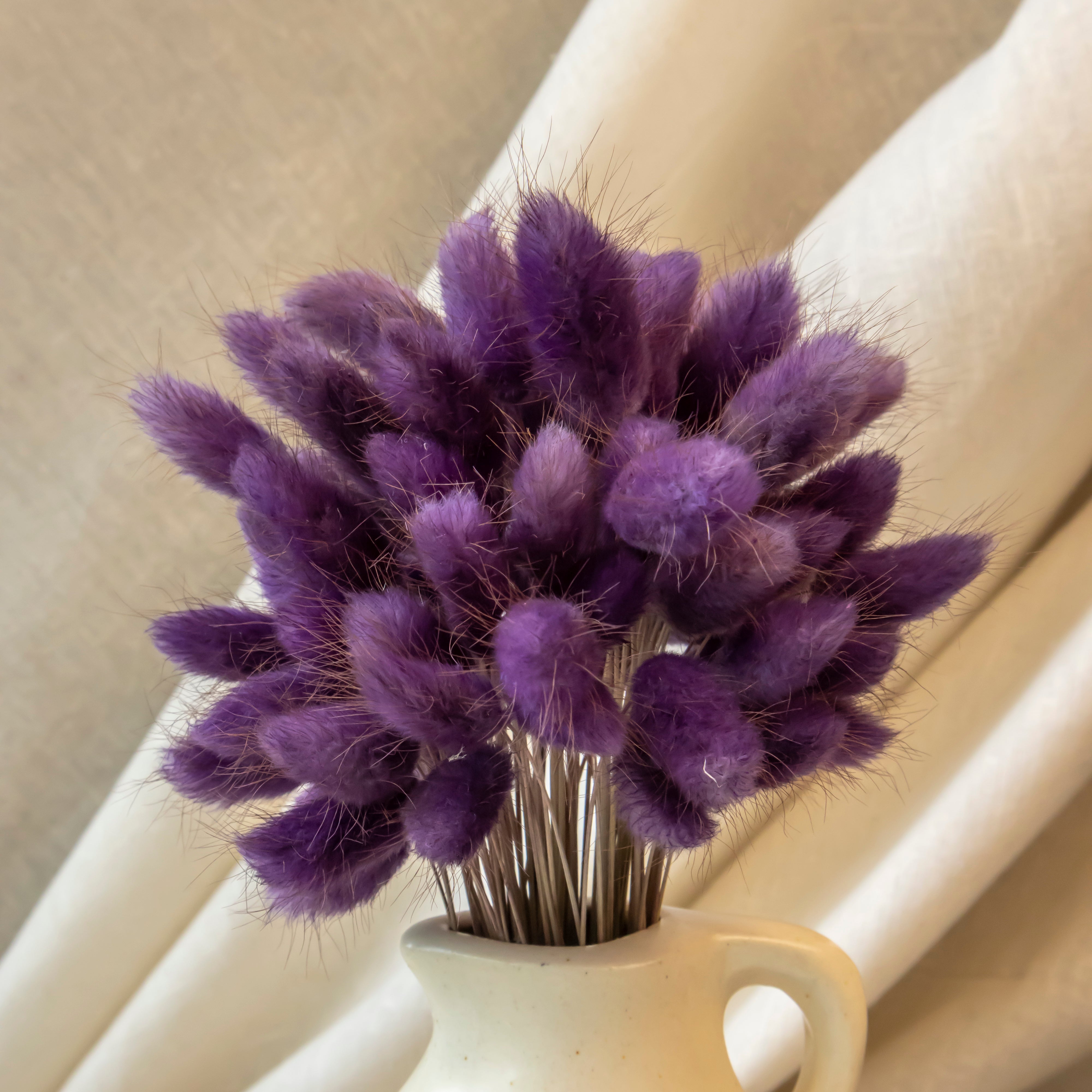 Purple Bunny Tail Preserved Natural Flowers