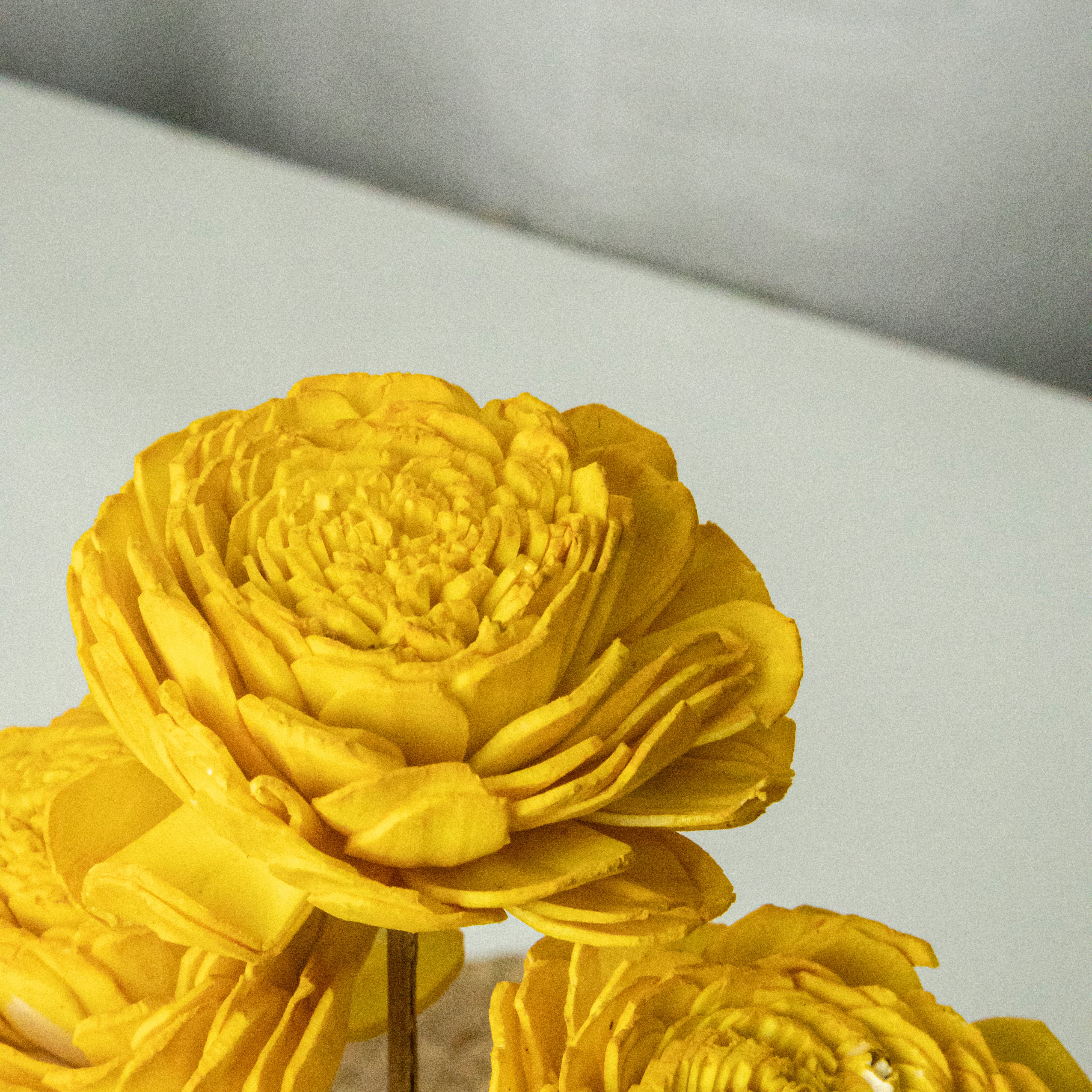 Sola Flowers- Yellow