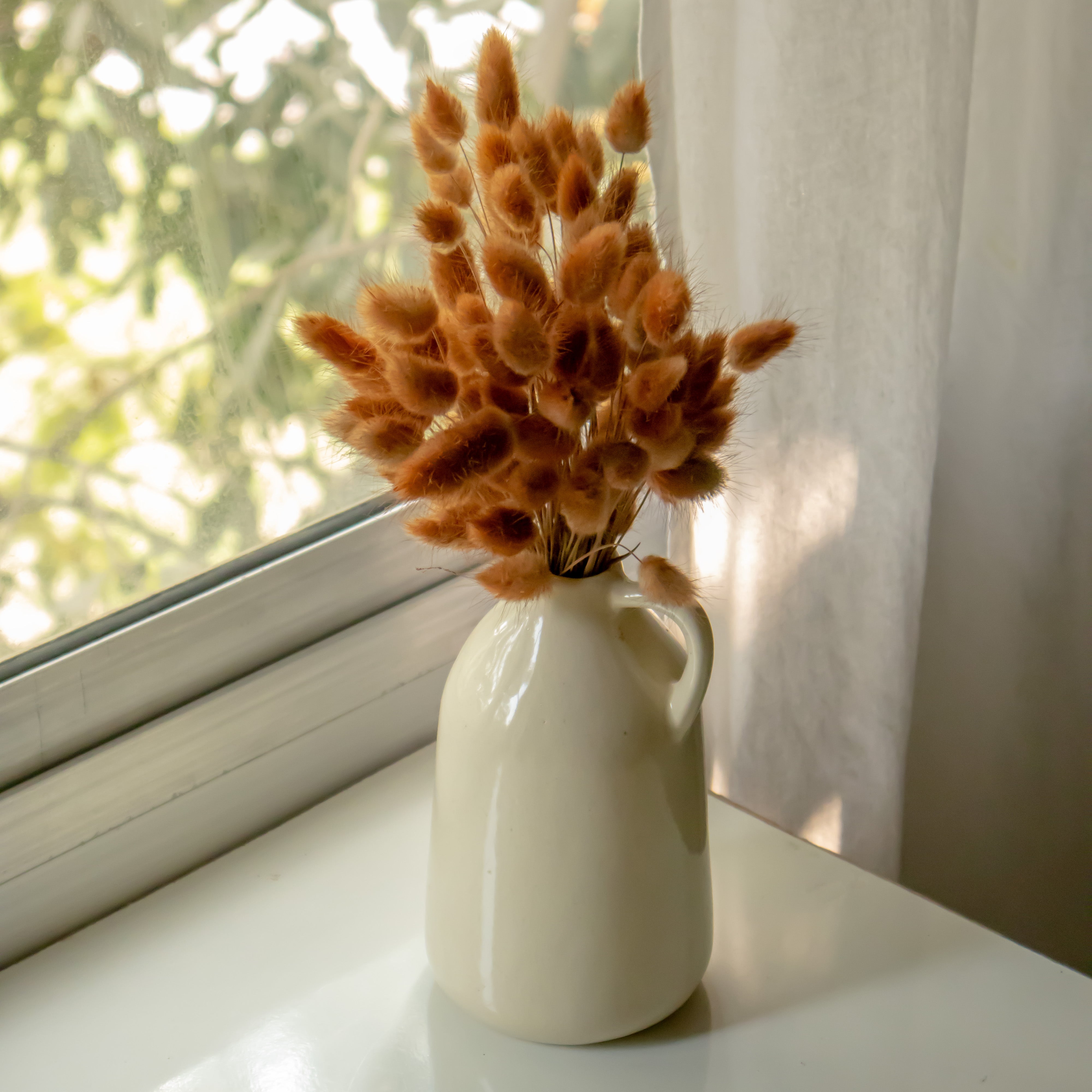 Rust colour Bunny tail Preserved Natural Flowers
