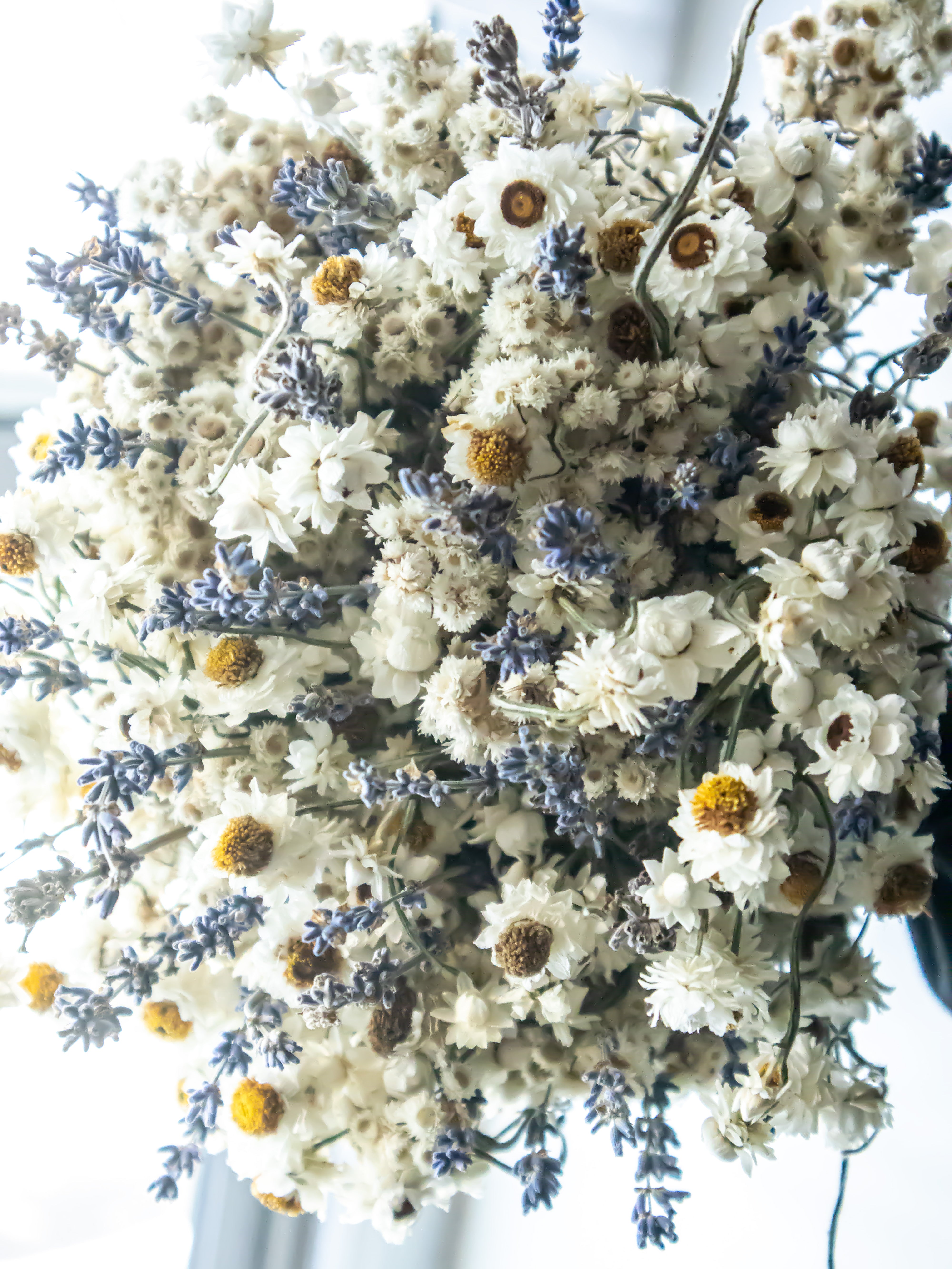 Pristine Bunch- Preserved Dried Flowers