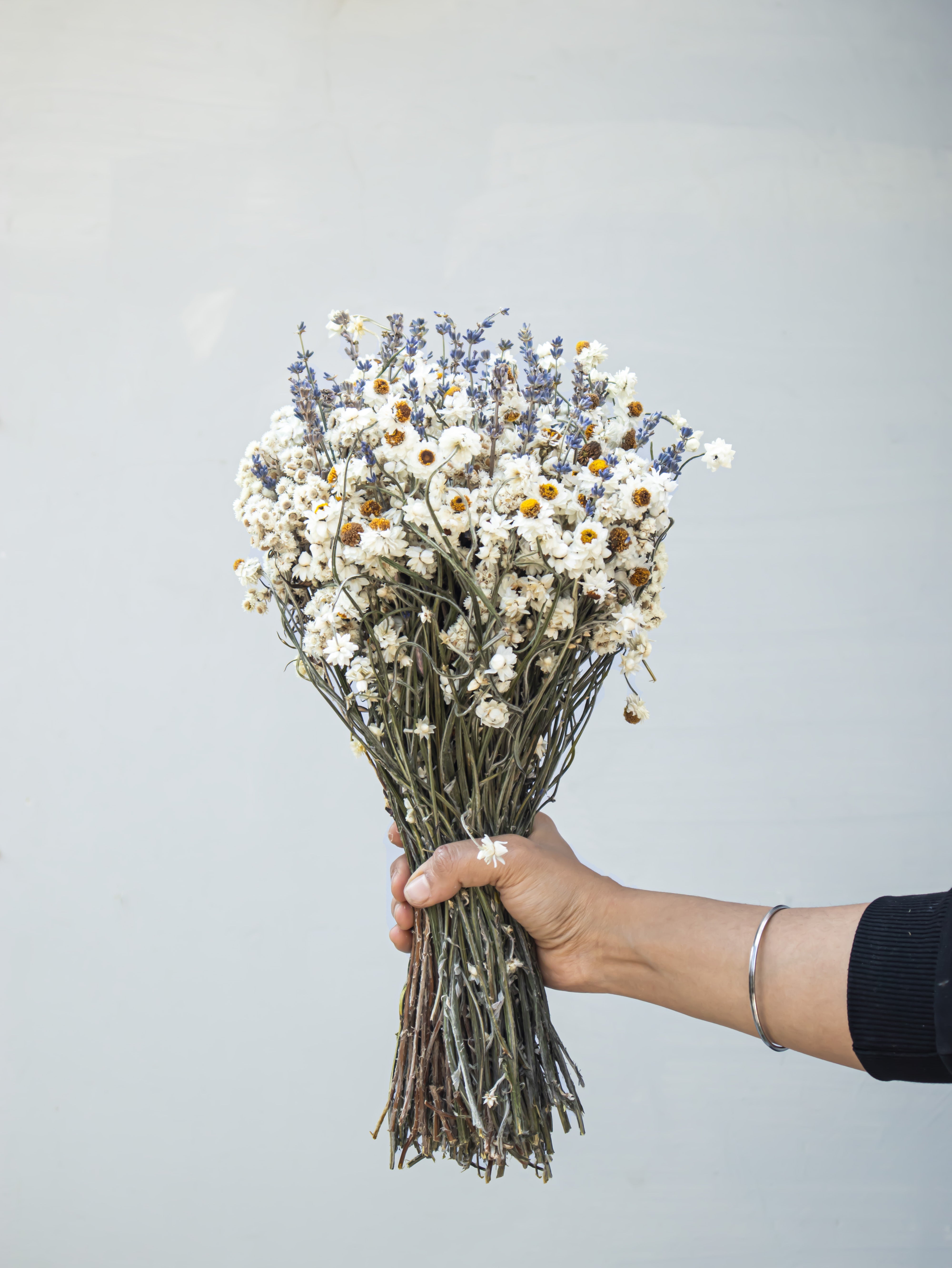 Pristine Bunch- Preserved Dried Flowers