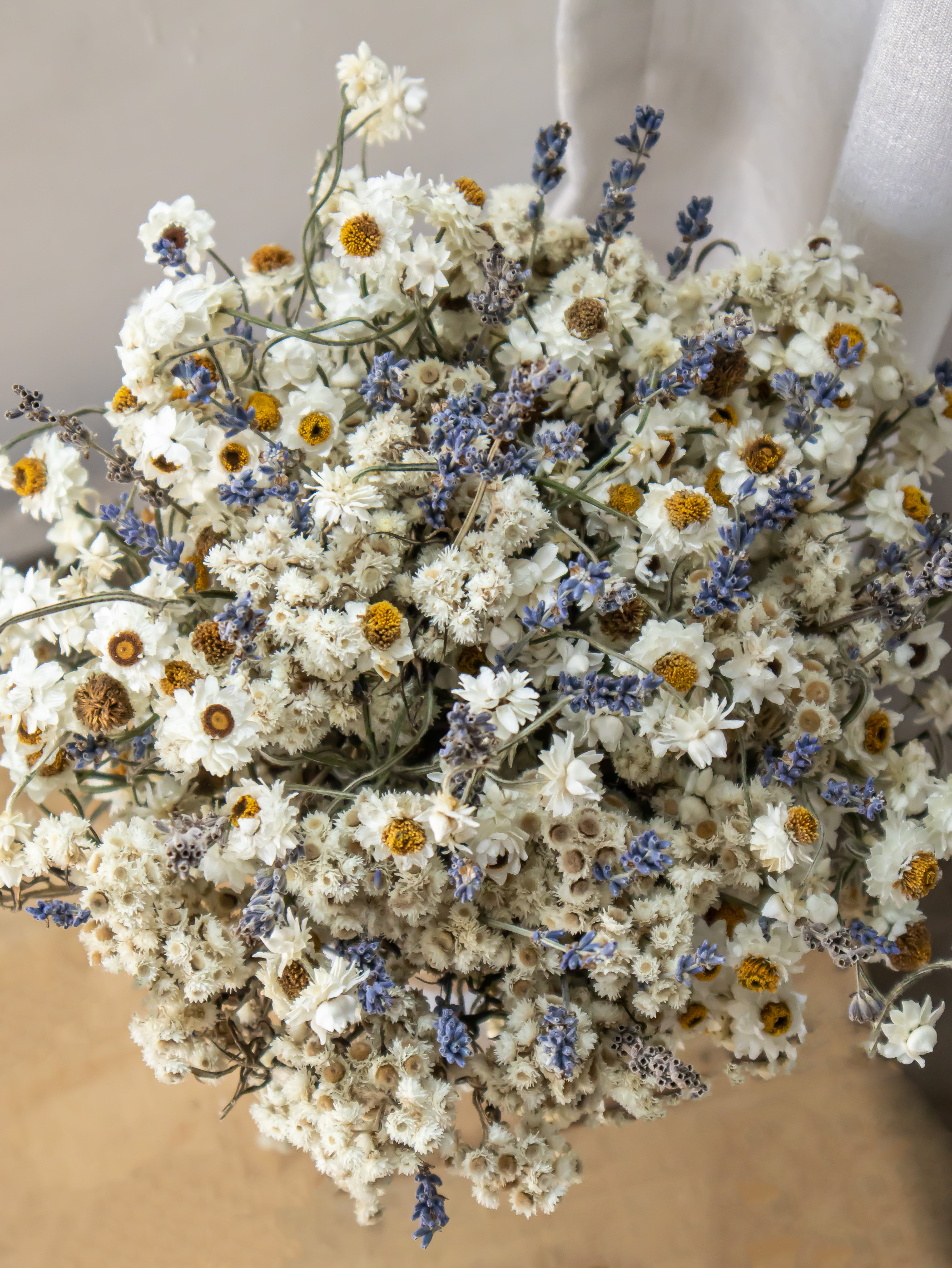 Pristine Bunch- Preserved Dried Flowers