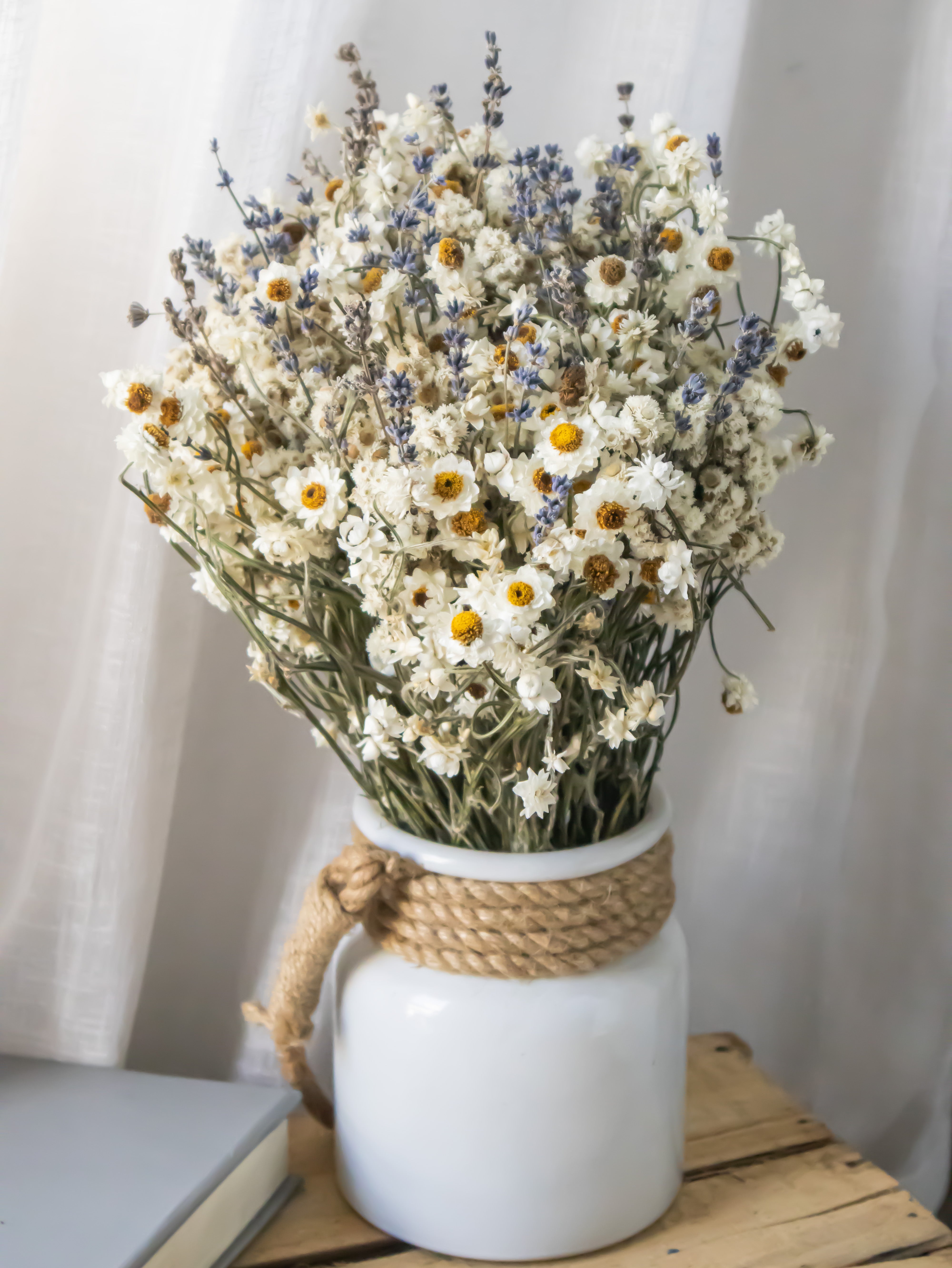 Pristine Bunch- Preserved Dried Flowers