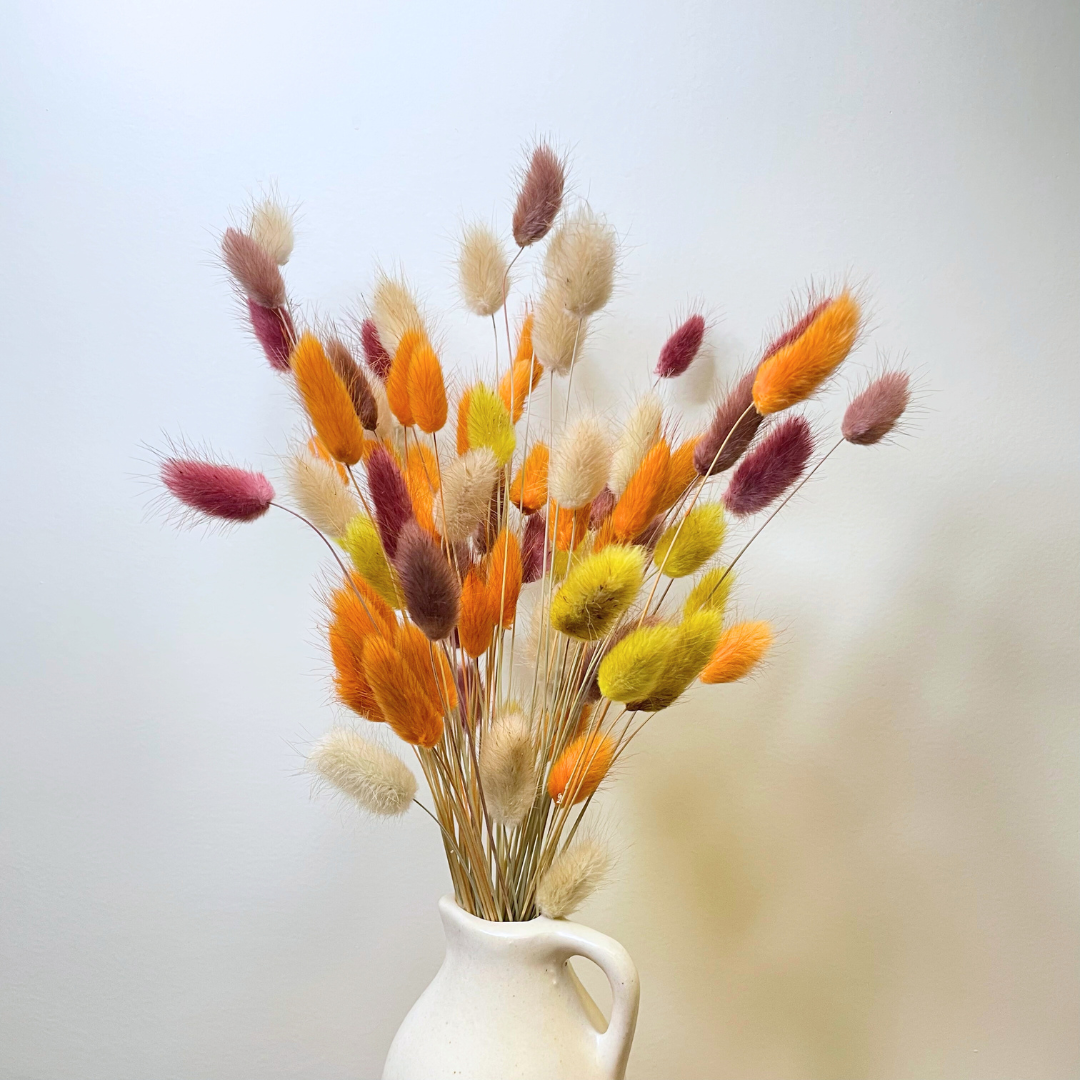 Fall Colour Bunny Tail Preserved Natural Flowers