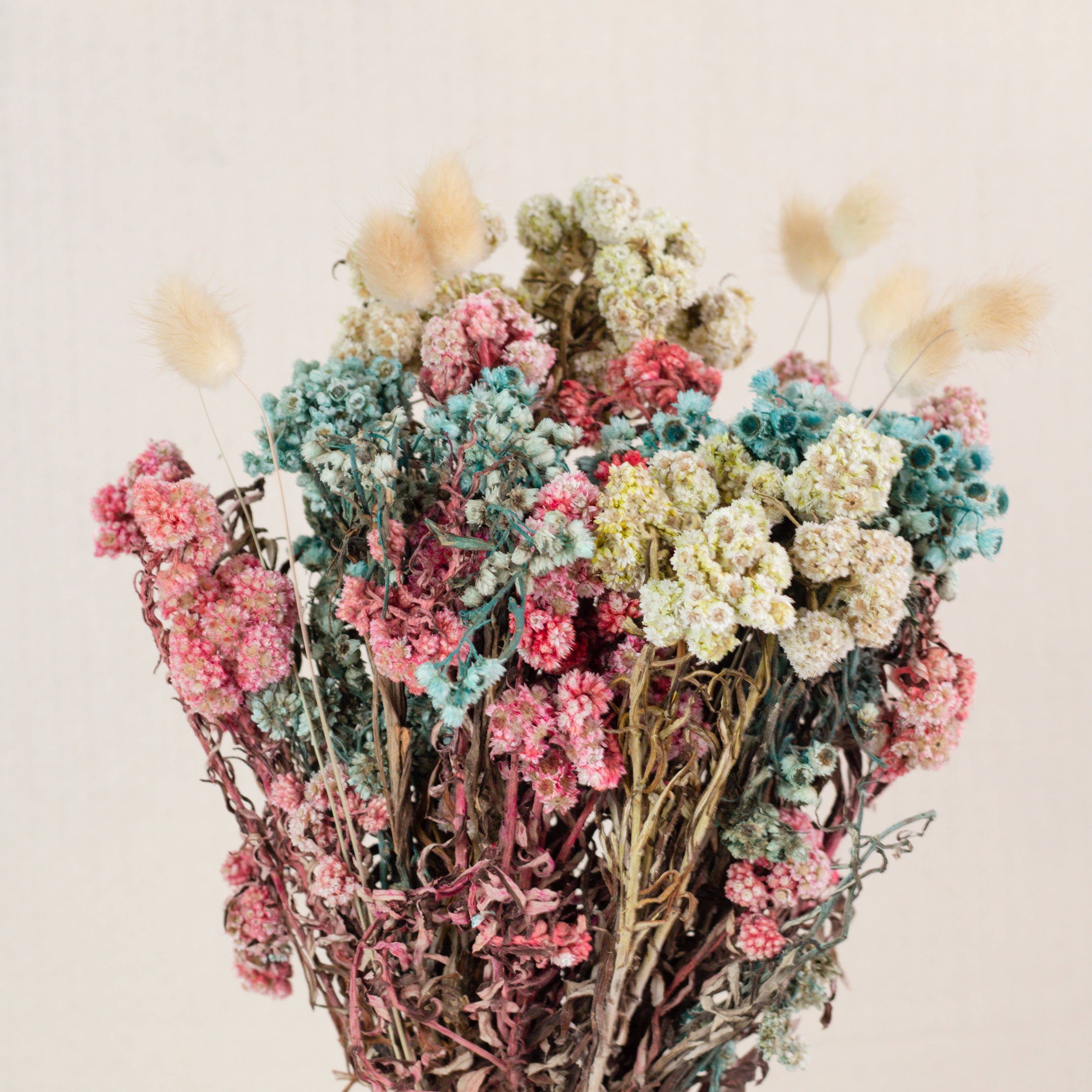 Casatta Preserved Daisy Flower Bouquet
