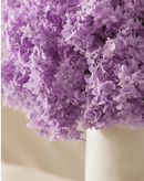 Preserved Hydrangeas Mauve