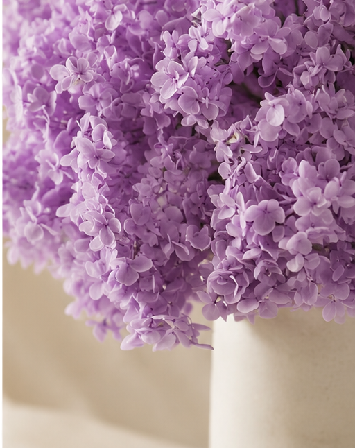 Preserved Hydrangeas Mauve