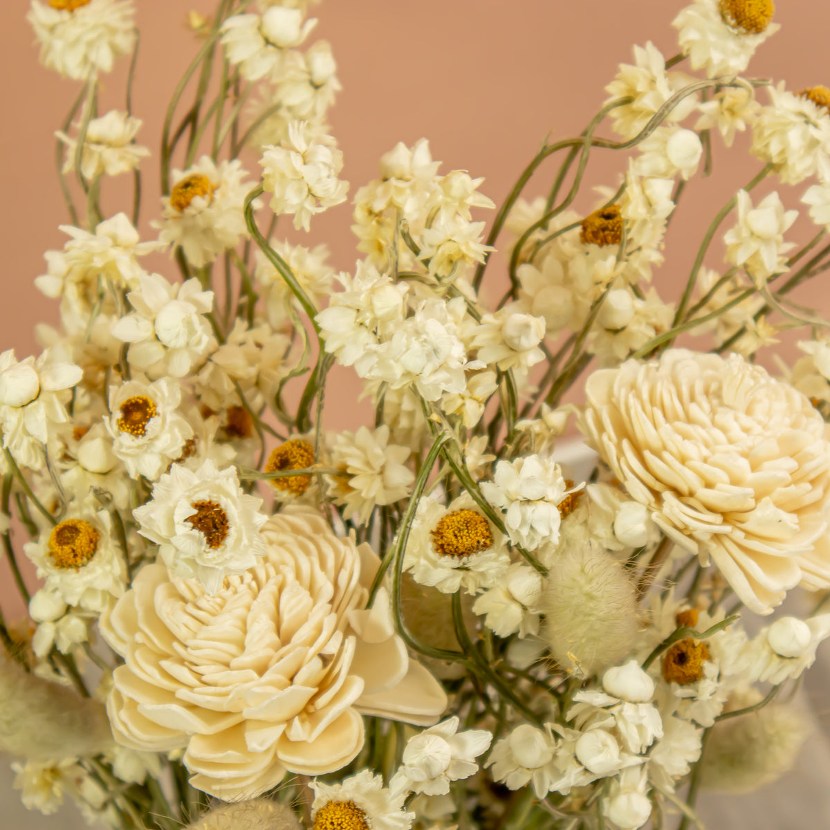 Raw Flower Preserved Natural Flowers – Page 2 – Native Apothecary
