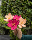 Crochet Tulips