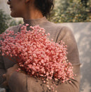 Baby's breath- Pink