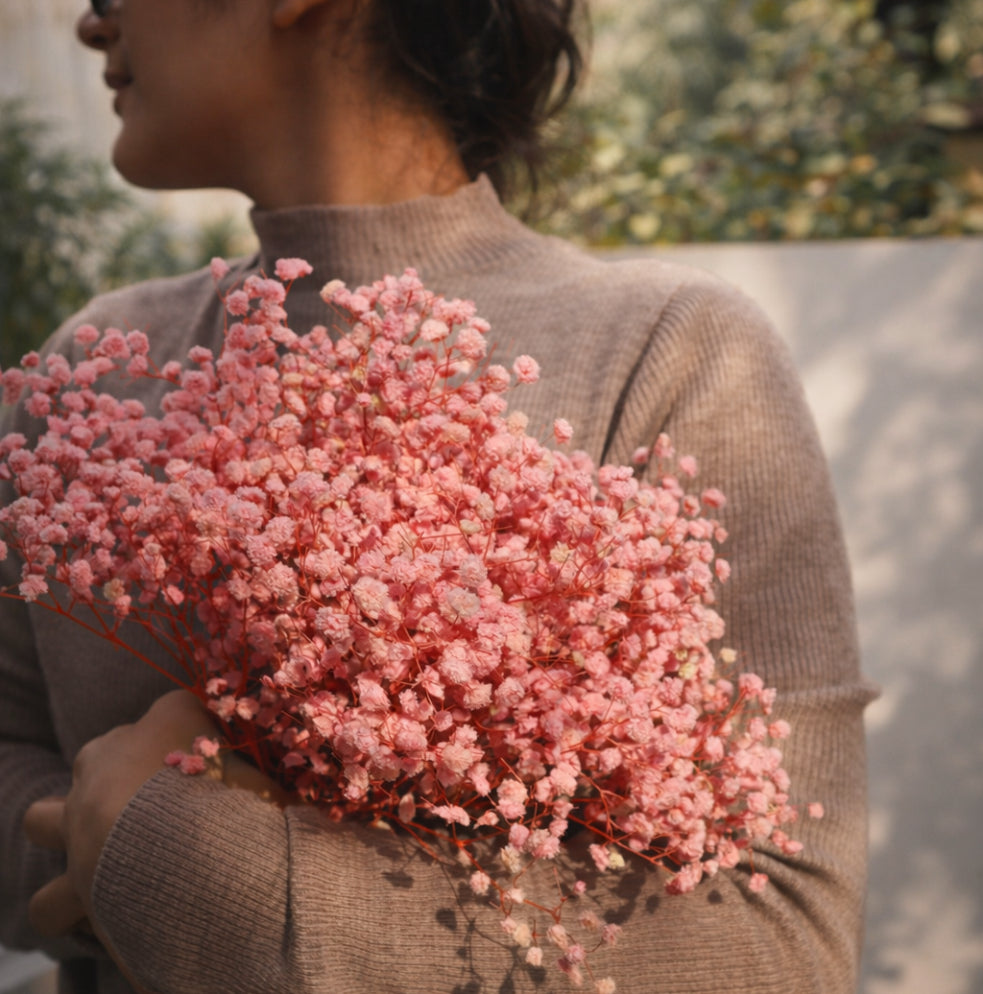 Baby's breath- Pink