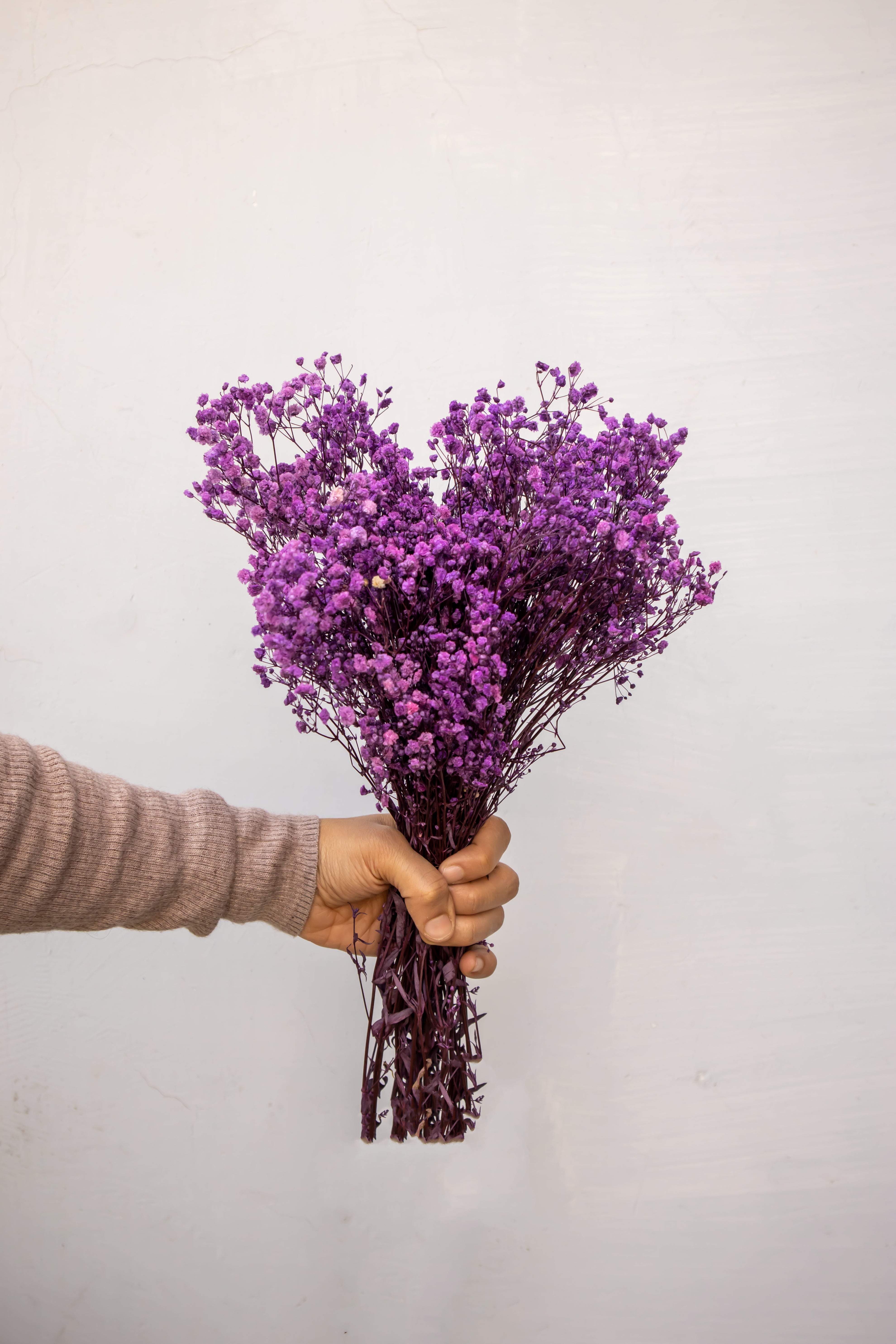 Baby's breath- Mauve