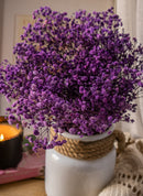 Baby's breath- Mauve