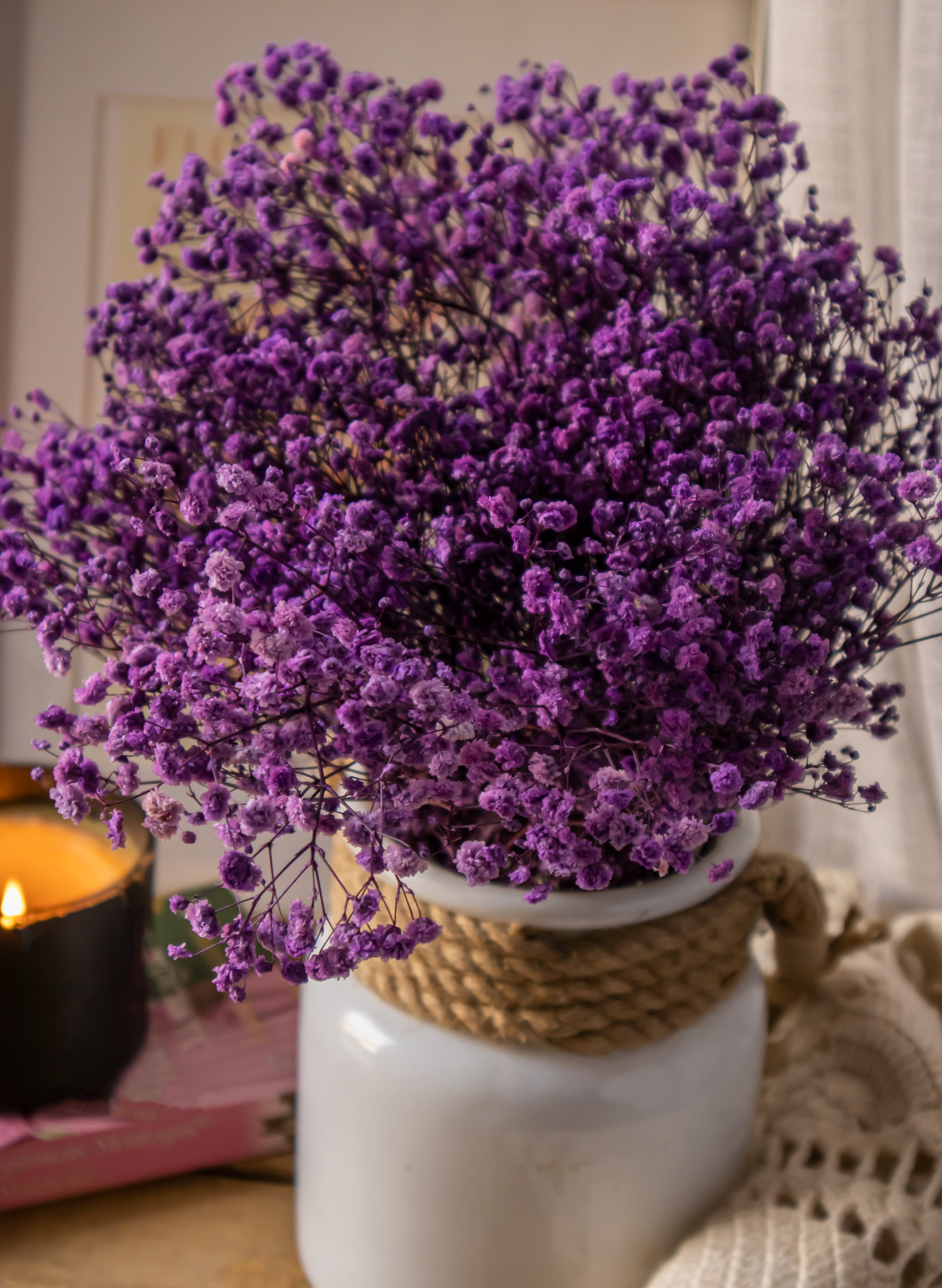 Baby's breath- Mauve