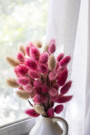 Bunny tails- Candy Cane