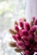 Bunny tails- Candy Cane