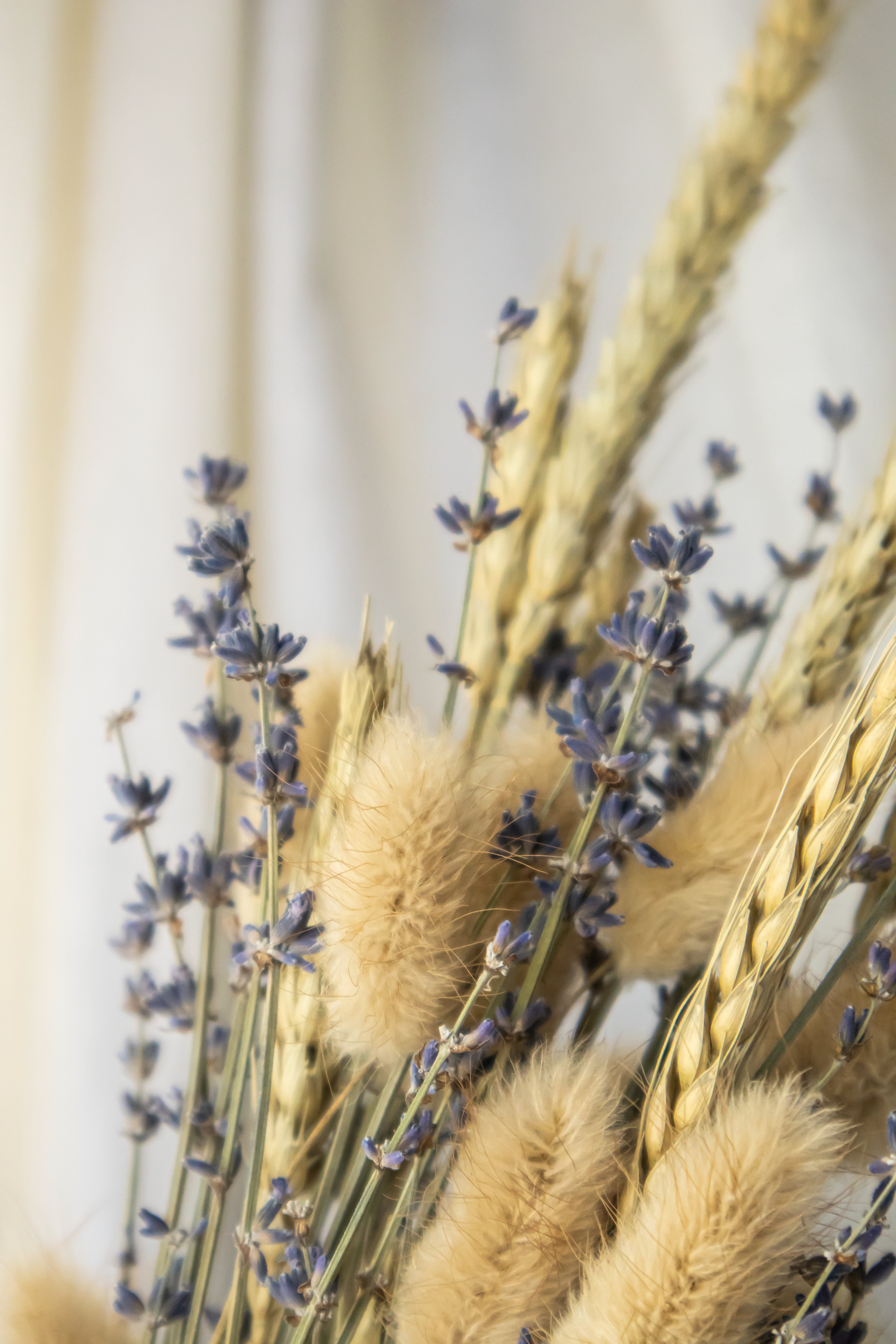 Farmer's Bouquet