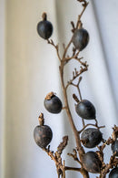 Wild Berries Stems