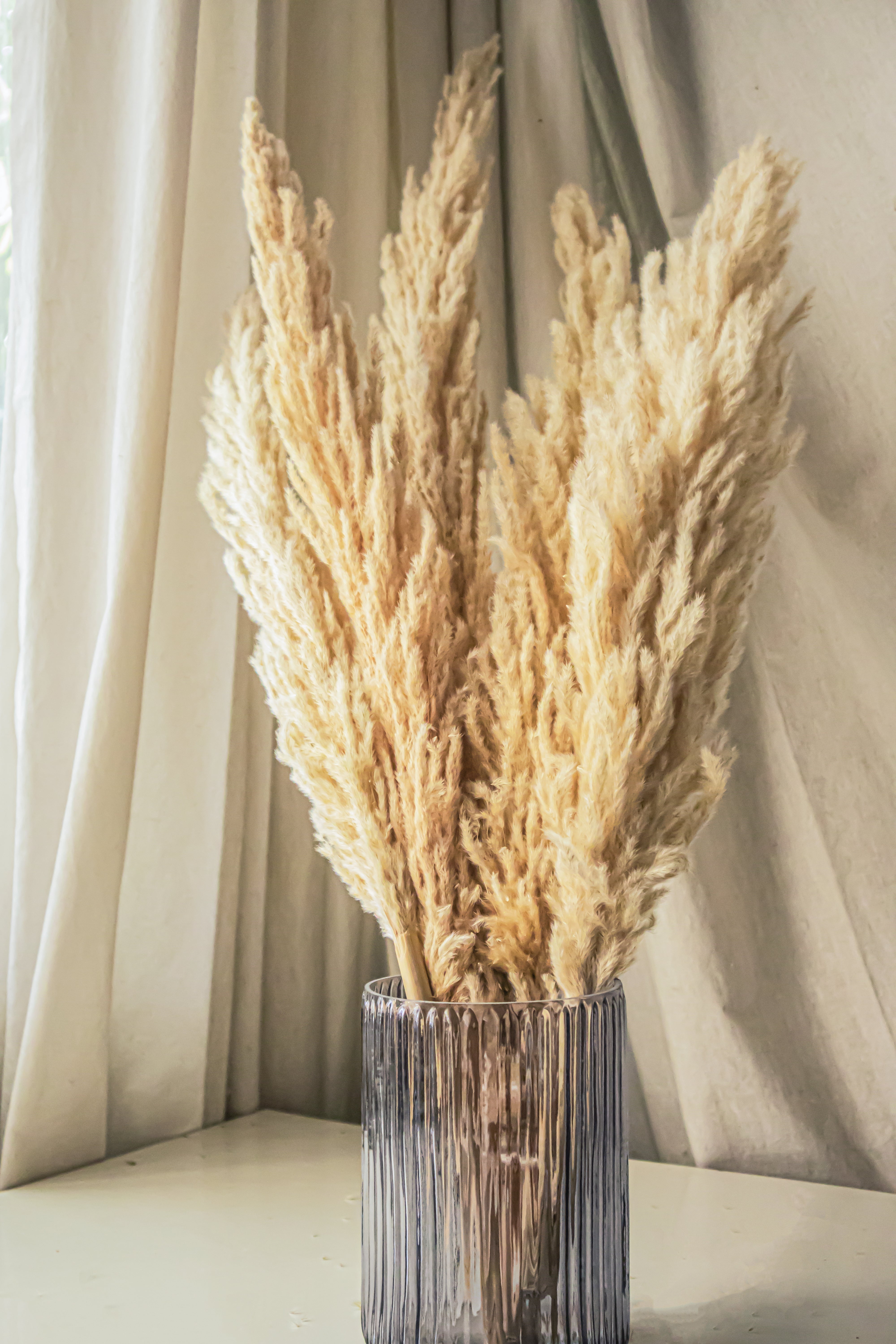 Natural Pampas- Beige