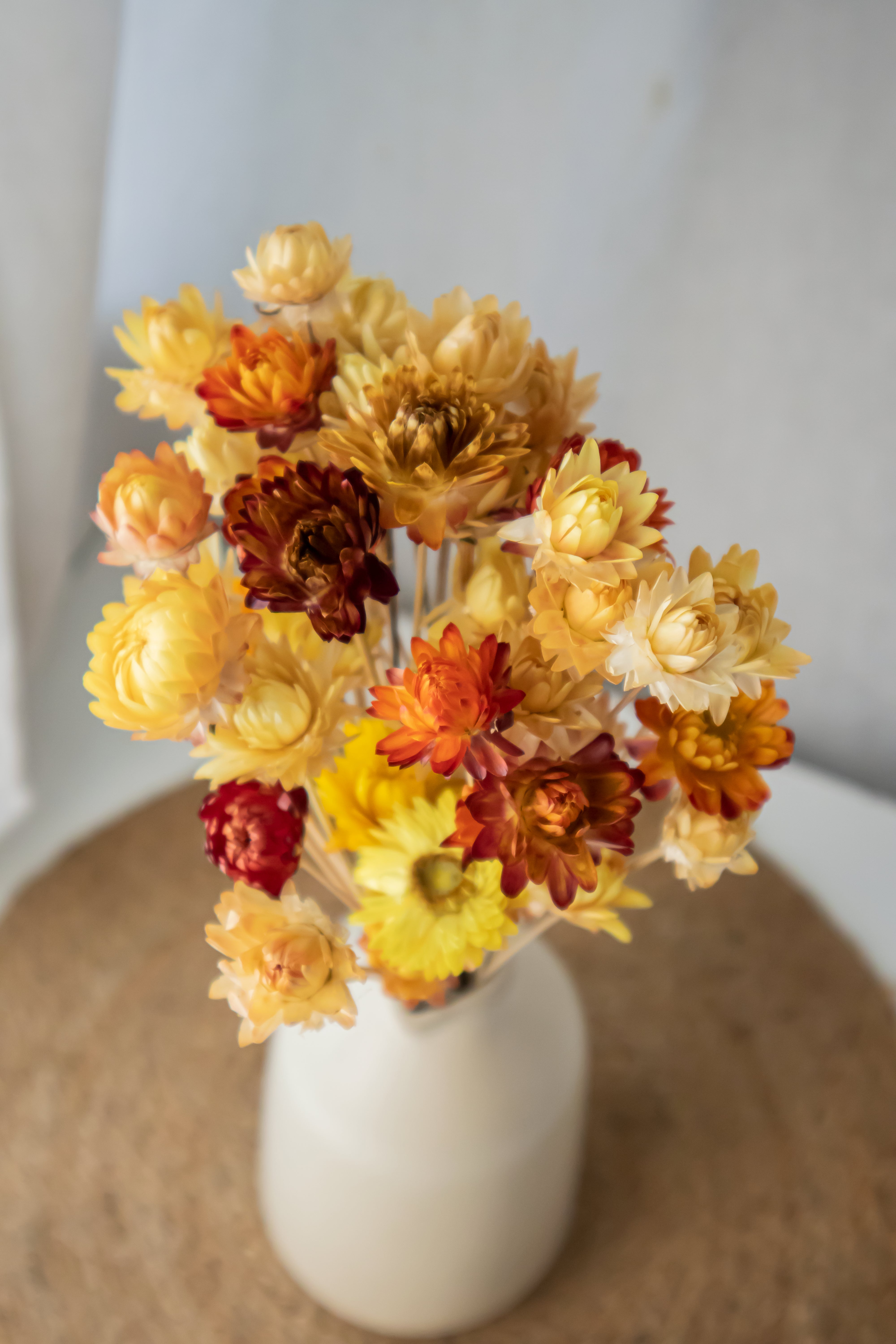 Straw Flowers