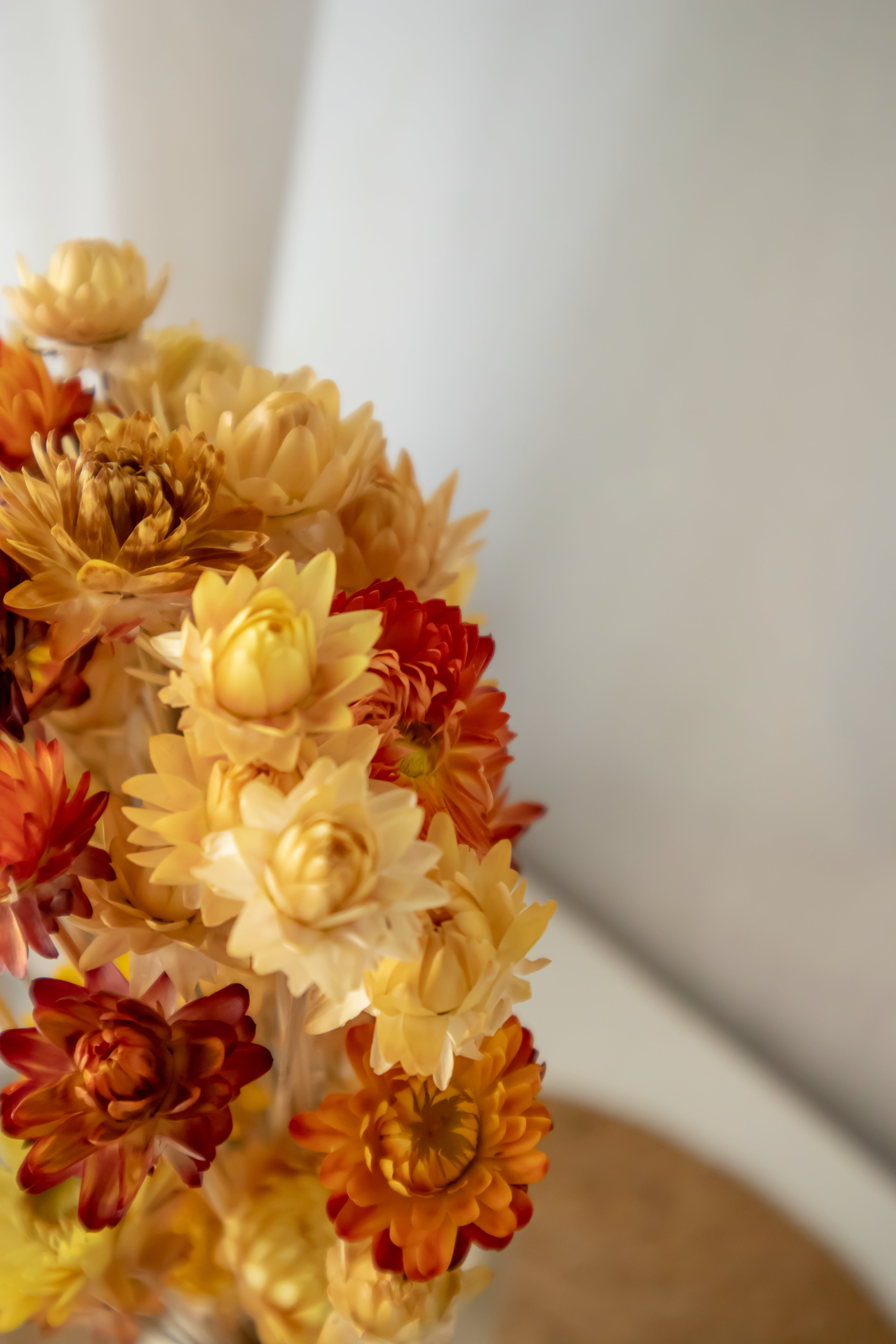 Straw Flowers