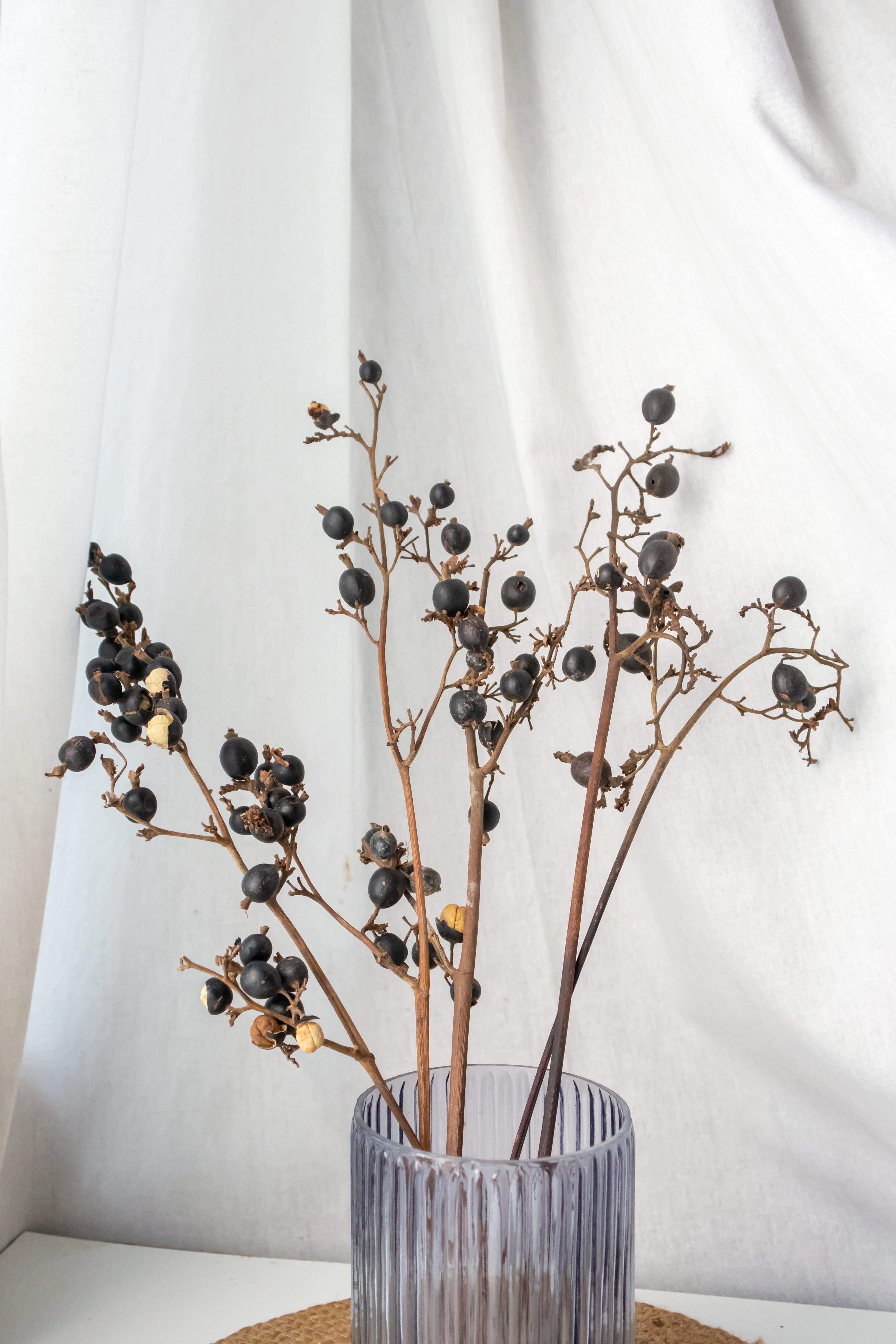 Wild Berries Stems